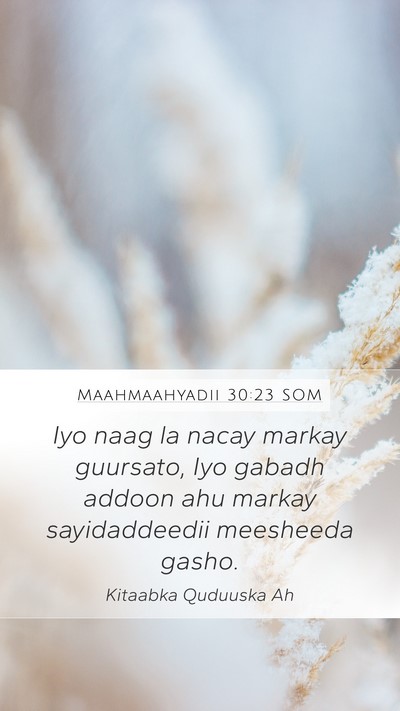 Maahmaahyadii 30:23 SOM Bible Verse Image