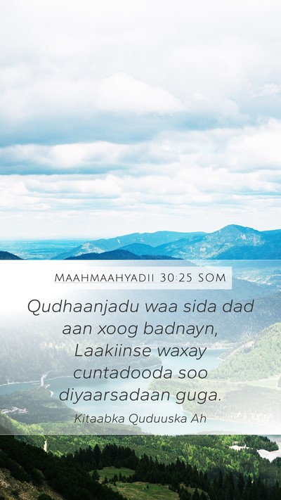 Maahmaahyadii 30:25 SOM Bible Verse Image