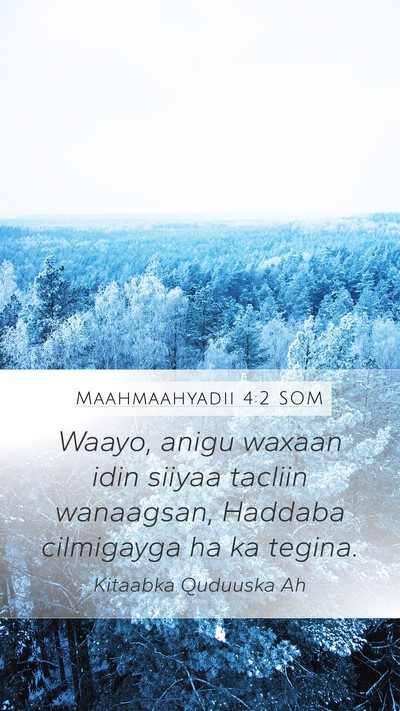Maahmaahyadii 4:2 SOM Mobile Phone Wallpaper - Waayo, anigu waxaan idin siiyaa tacliin - Mobile Bible Verse Wallpaper