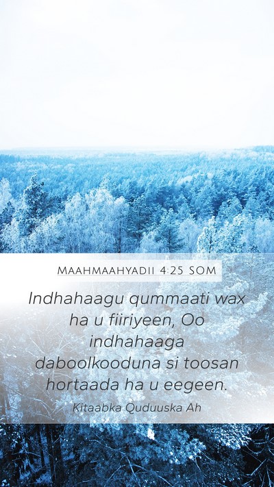 Maahmaahyadii 4:25 SOM Bible Verse Image