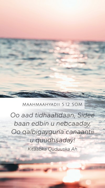 Maahmaahyadii 5:12 SOM Bible Verse Image