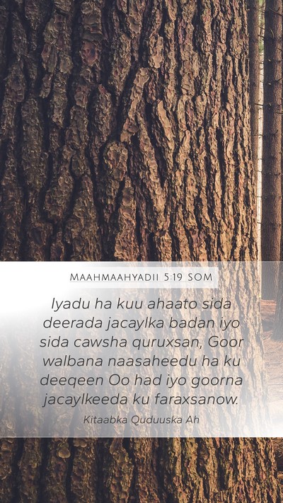 Maahmaahyadii 5:19 SOM Bible Verse Image