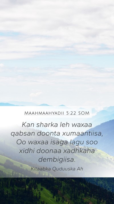 Maahmaahyadii 5:22 SOM Bible Verse Image