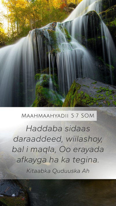 Maahmaahyadii 5:7 SOM Bible Verse Image