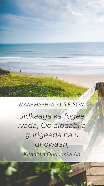 Maahmaahyadii 5:8 SOM Bible Verse Image