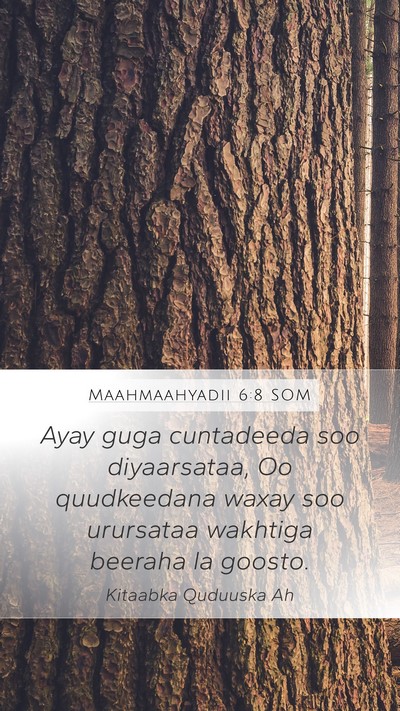 Maahmaahyadii 6:8 SOM Bible Verse Image