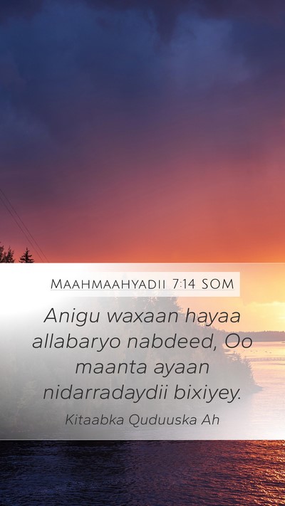 Maahmaahyadii 7:14 SOM Bible Verse Image