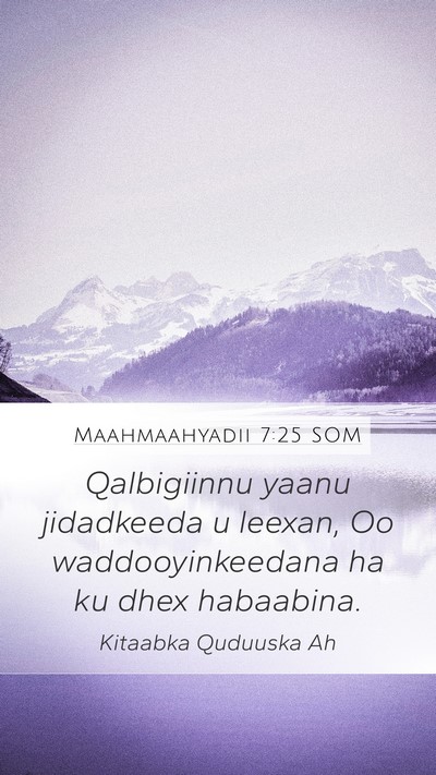 Maahmaahyadii 7:25 SOM Bible Verse Image