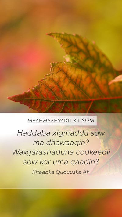 Maahmaahyadii 8:1 SOM Bible Verse Image
