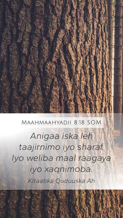 Maahmaahyadii 8:18 SOM Bible Verse Image