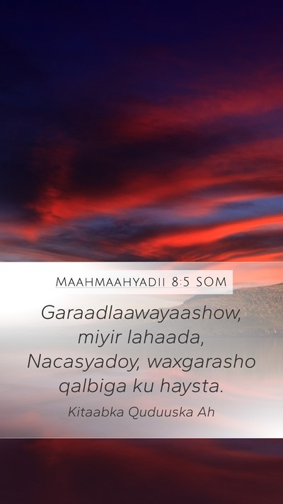 Maahmaahyadii 8:5 SOM Bible Verse Image