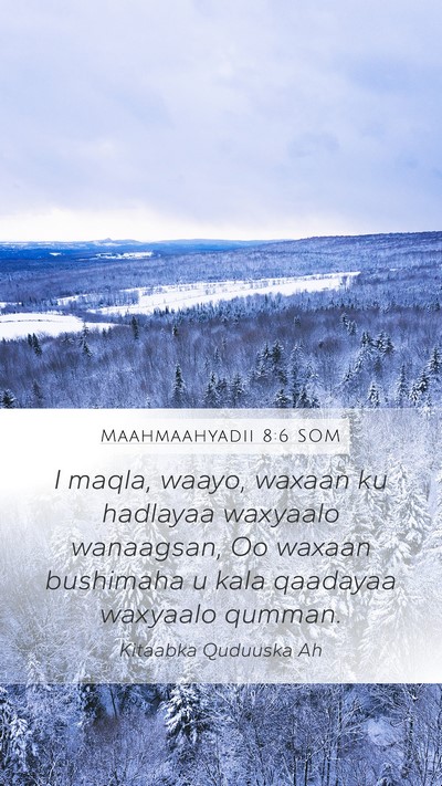 Maahmaahyadii 8:6 SOM Bible Verse Image