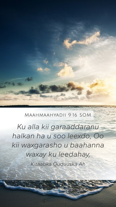 Maahmaahyadii 9:16 SOM Bible Verse Image