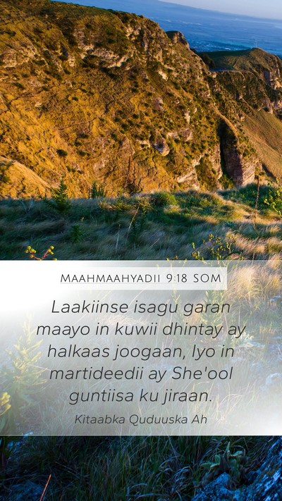 Maahmaahyadii 9:18 SOM Bible Verse Image