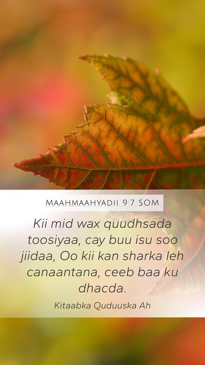 Maahmaahyadii 9:7 SOM Bible Verse Image
