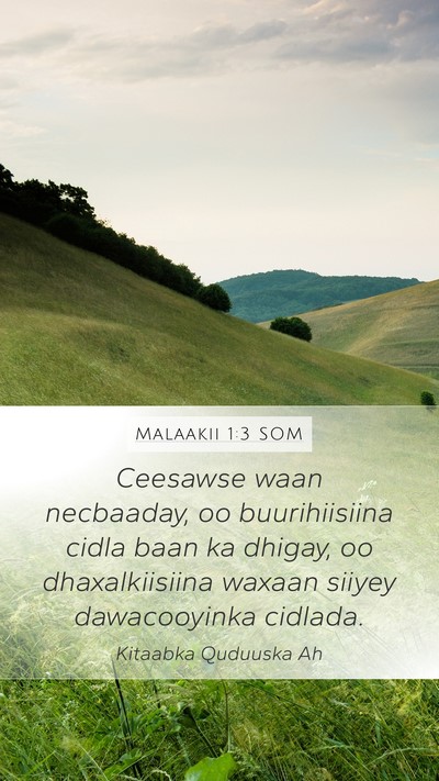 Malaakii 1:3 SOM Bible Verse Image