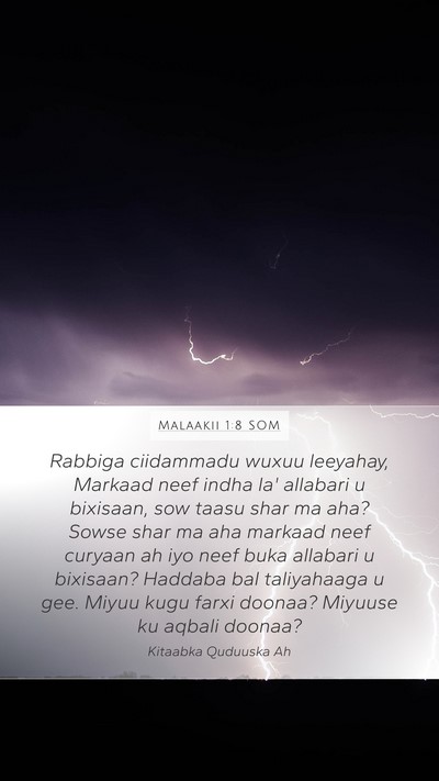 Malaakii 1:8 SOM Bible Verse Image