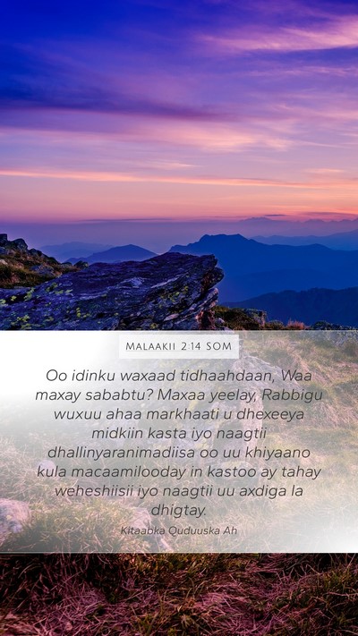 Malaakii 2:14 SOM Bible Verse Image