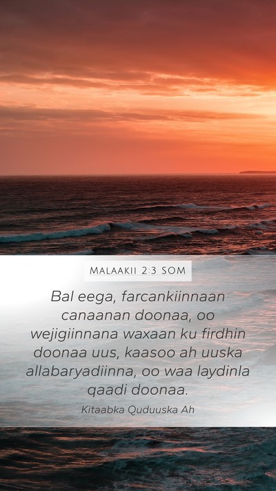 Malaakii 2:3 SOM Bible Verse Image