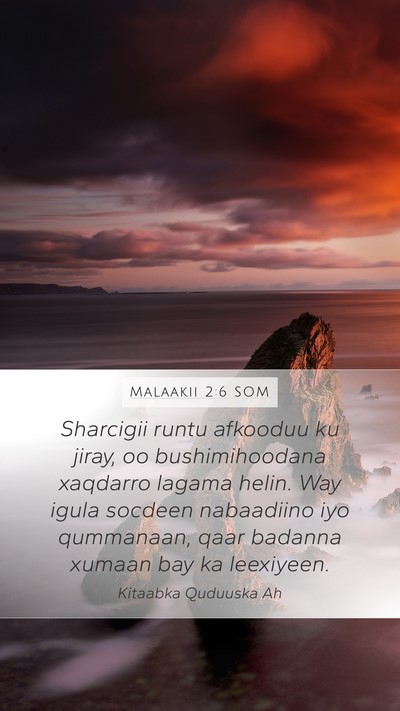 Malaakii 2:6 SOM Bible Verse Image