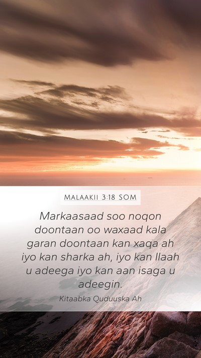 Malaakii 3:18 SOM Bible Verse Image