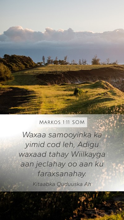 Markos 1:11 SOM Bible Verse Image