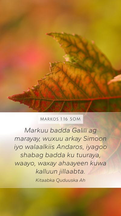 Markos 1:16 SOM Bible Verse Image