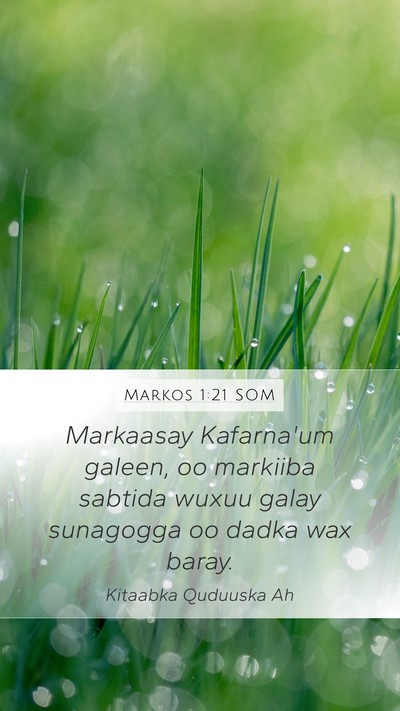 Markos 1:21 SOM Bible Verse Image