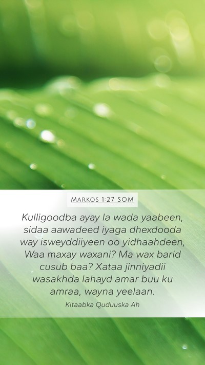Markos 1:27 SOM Bible Verse Image