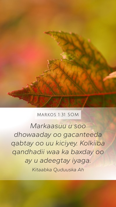 Markos 1:31 SOM Bible Verse Image