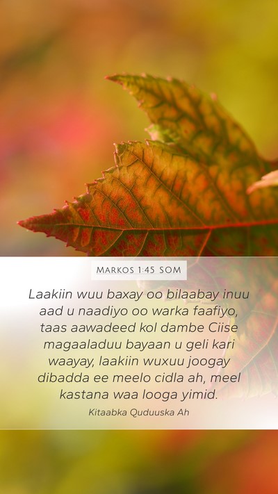 Markos 1:45 SOM Bible Verse Image