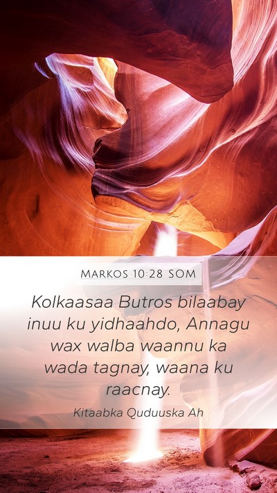 Markos 10:28 SOM Bible Verse Image