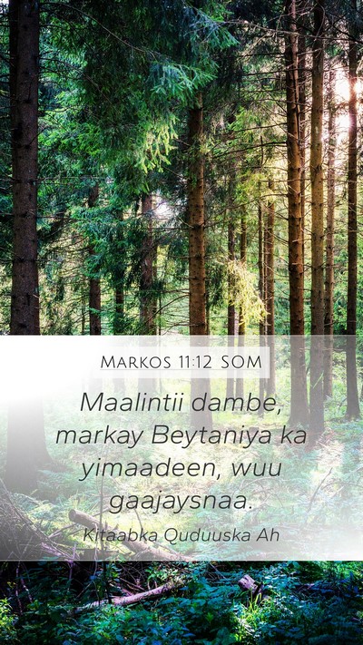 Markos 11:12 SOM Bible Verse Image