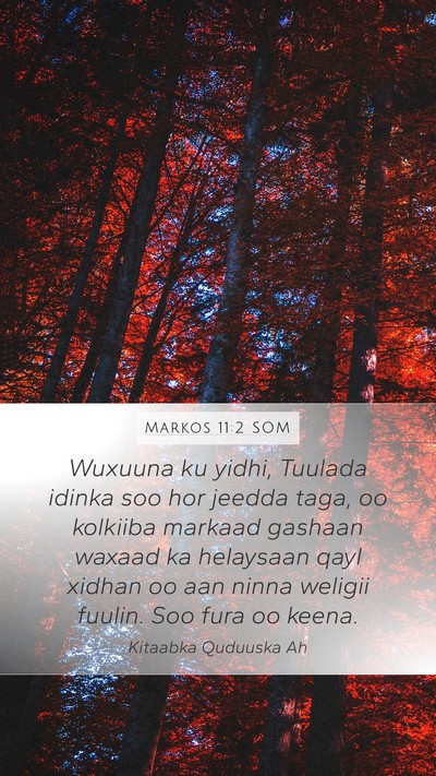 Markos 11:2 SOM Bible Verse Image