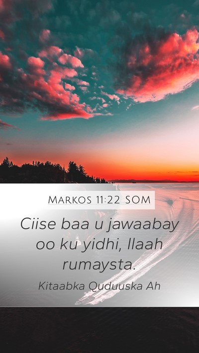 Markos 11:22 SOM Bible Verse Image