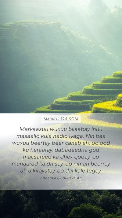 Markos 12:1 SOM Bible Verse Image