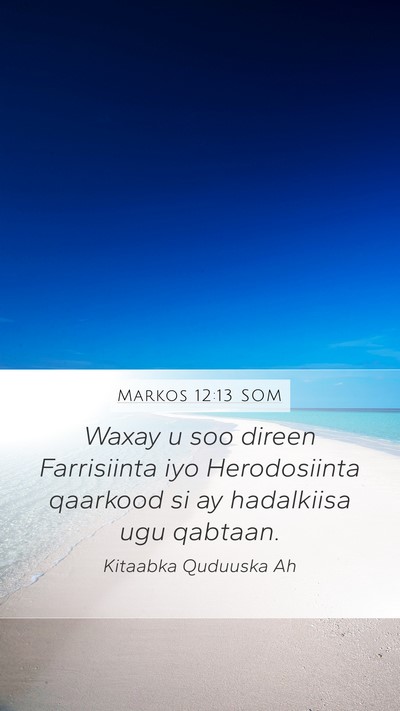 Markos 12:13 SOM Bible Verse Image