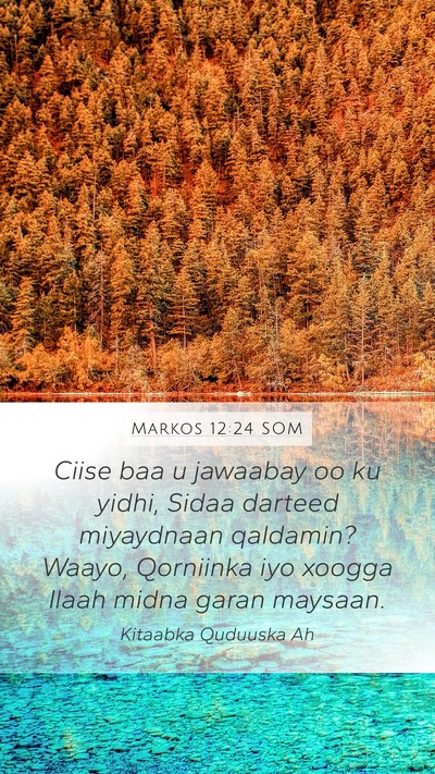 Markos 12:24 SOM Bible Verse Image