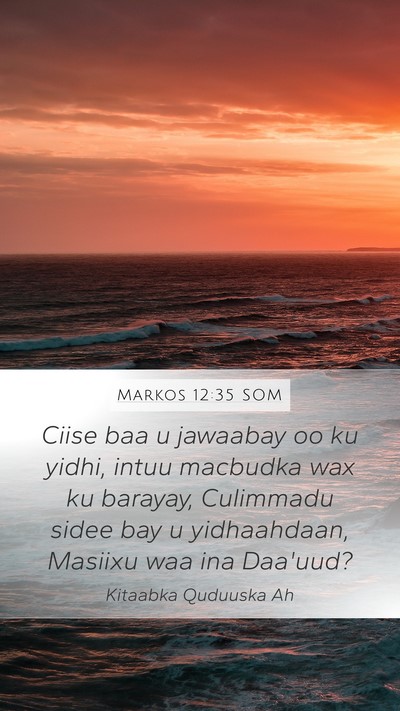 Markos 12:35 SOM Bible Verse Image
