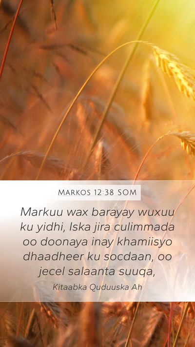 Markos 12:38 SOM Bible Verse Image