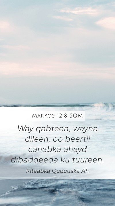 Markos 12:8 SOM Mobile Phone Wallpaper - Way qabteen, wayna dileen, oo beertii canabka - Mobile Bible Verse Wallpaper