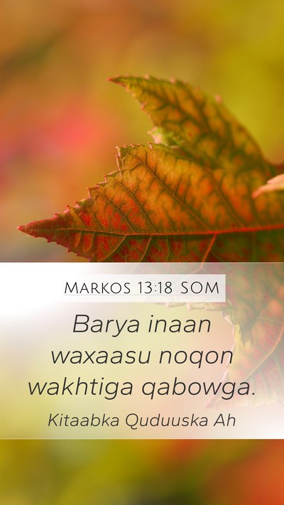 Markos 13:18 SOM Mobile Phone Wallpaper - Barya inaan waxaasu noqon wakhtiga - Mobile Bible Verse Wallpaper
