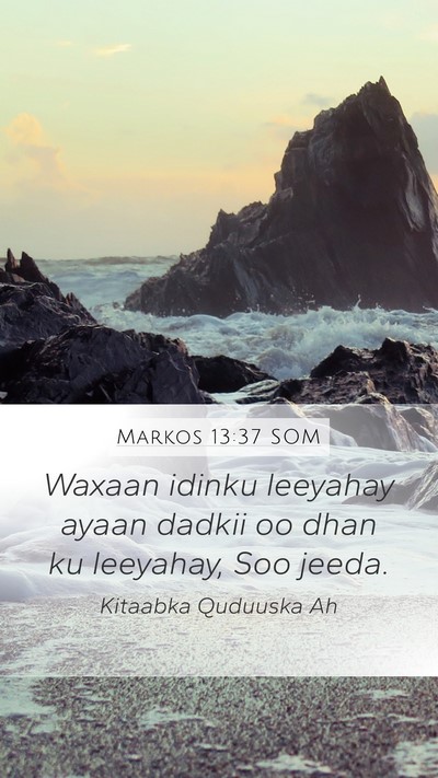 Markos 13:37 SOM Bible Verse Image