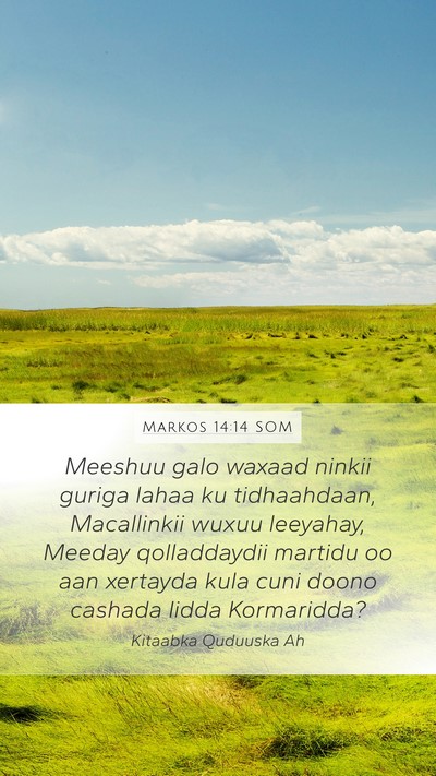 Markos 14:14 SOM Mobile Phone Wallpaper - Meeshuu galo waxaad ninkii guriga lahaa ku - Mobile Bible Verse Wallpaper