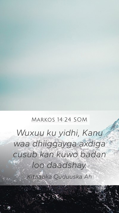 Markos 14:24 SOM Bible Verse Image
