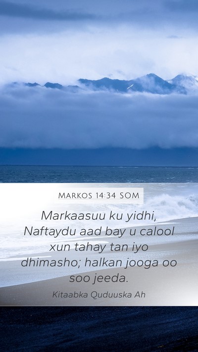 Markos 14:34 SOM Bible Verse Image