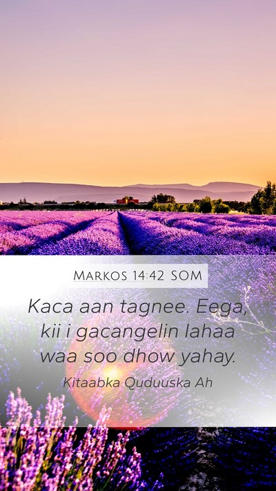 Markos 14:42 SOM Mobile Phone Wallpaper - Kaca aan tagnee. Eega, kii i gacangelin lahaa waa - Mobile Bible Verse Wallpaper