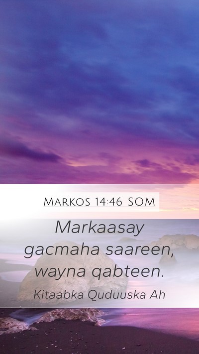 Markos 14:46 SOM Mobile Phone Wallpaper - Markaasay gacmaha saareen, wayna - Mobile Bible Verse Wallpaper