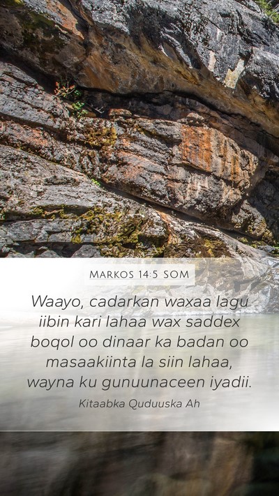 Markos 14:5 SOM Bible Verse Image