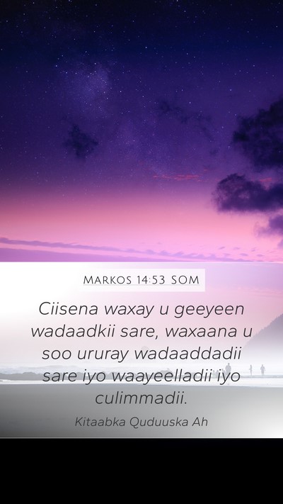 Markos 14:53 SOM Bible Verse Image